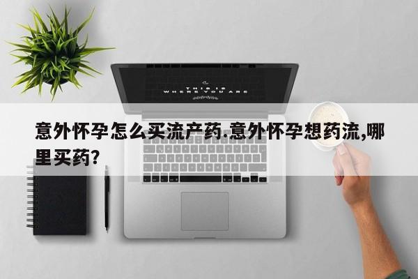 admin 第300页